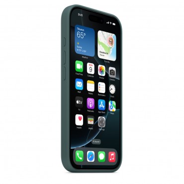 ip16pro max Case-Forest Green
