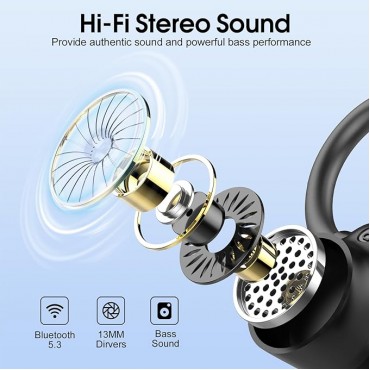 Wireless Earbuds with Earhooks - Black